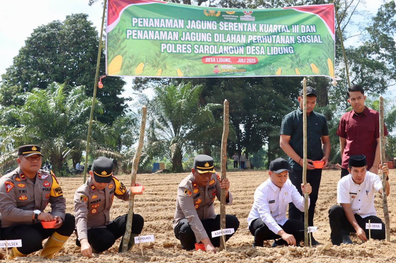 Polres Sarolangun Tanam Jagung Serentak di 7 Kecamatan, Dorong Kemandirian Pangan dan Perekonomian Warga