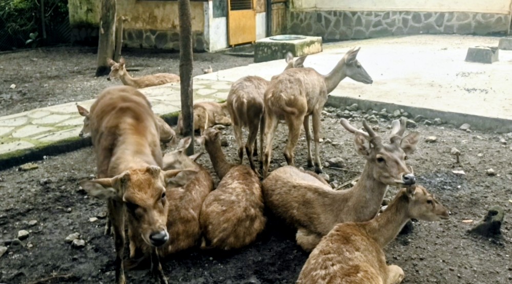 Taman Wisata Cikembulan Jadi Destinasi Favorit Libur Lebaran 2026 di Kabupaten Garut